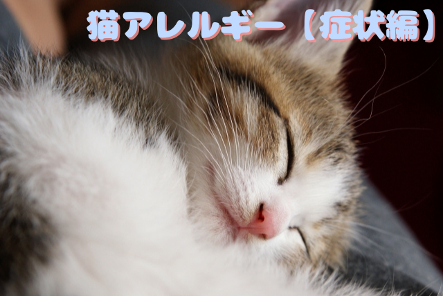 症状 猫 アレルギー